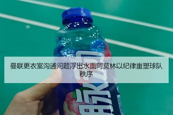 img_1784030279347_198_1_968.jpg